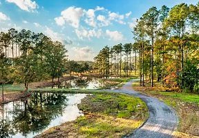 Charleston SC Land Properties