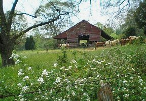 Mount Pleasant SC Barn Land SC