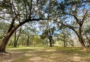 North Charleston SC Buy Land SC